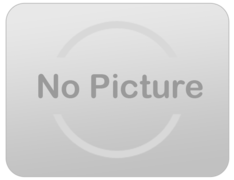 Trackless train additional Hour